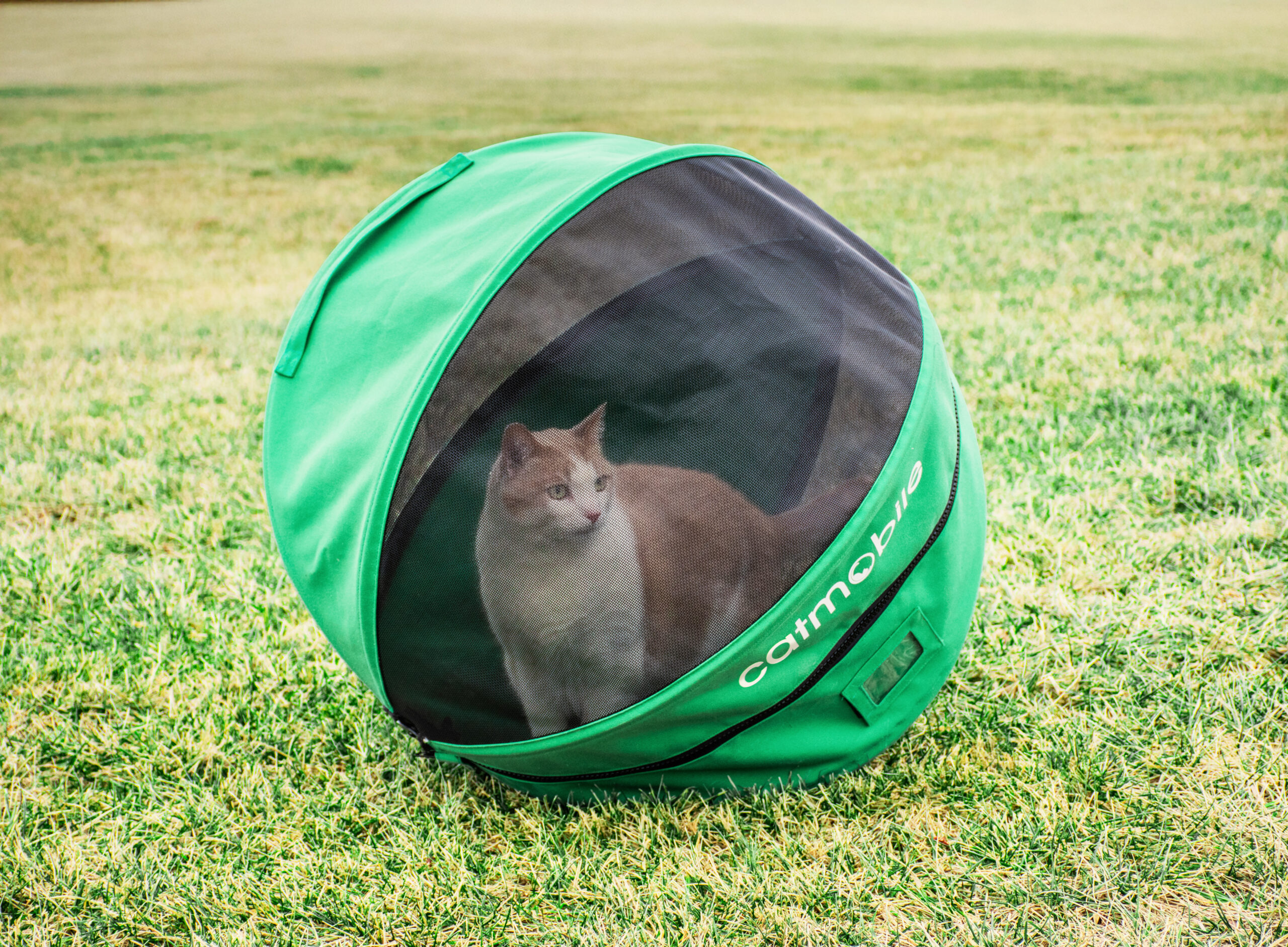 The Catmobile™ team